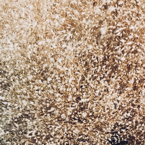 Preview: texture