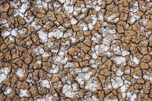 Preview: Dried soil with salt crystals