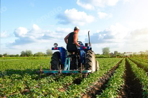 Preview: The farmer drives a tractor and plows the field.