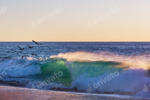 Preview: Wave