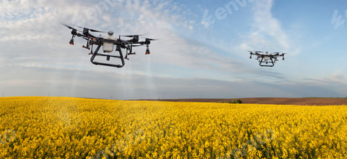 Preview: A two drone sprays a yellow field of rape against pests in a cloudy sky
