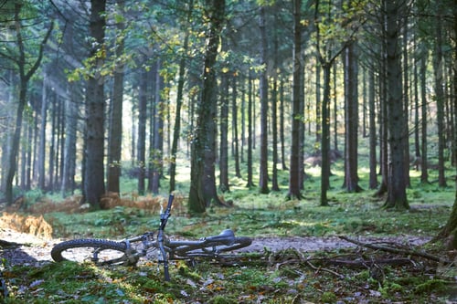 Preview: Mountain bike lying on dirt track in Forest of Dean, Bristol, UK