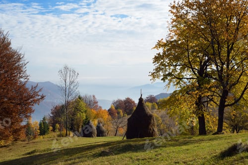 Preview: Rick dry hay on a mountain meadow