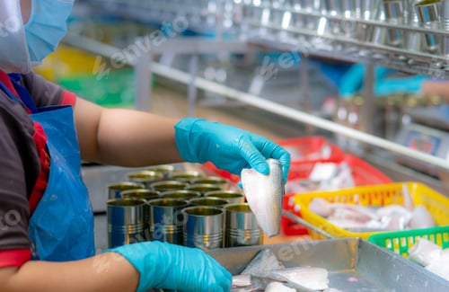 Preview: Worker working in canned food factory. Food industry. Canned fish factory. Worker's hand holding