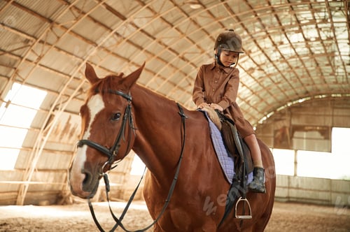 Preview: Riding the animal. Cute little girl is with horse indoors