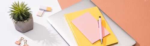 Preview: panoramic shot of laptop, notebooks, pen, plant, erasers, paper clips and paper