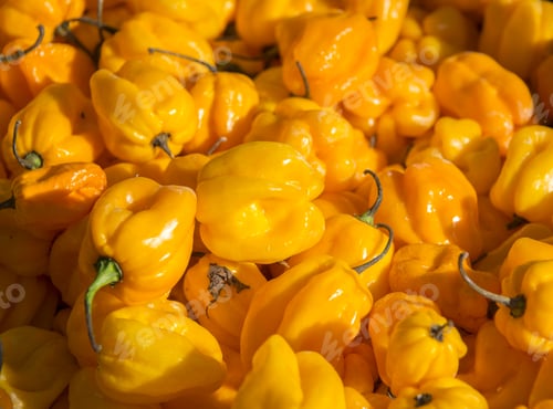 Preview: yellow pepper
