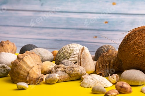Preview: Coconuts, rocks and shells on a blue wooden background and a yellow background.Marine theme