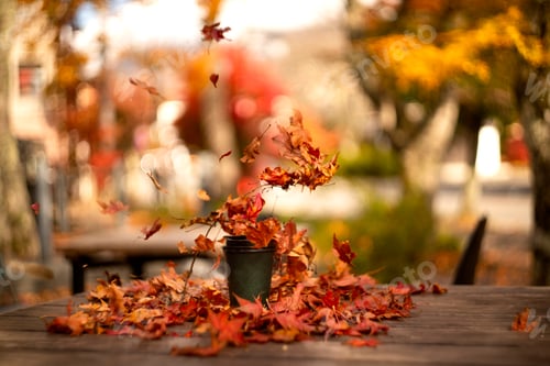 Preview: Coffee cup on the wooden table with autumn leaves in the background