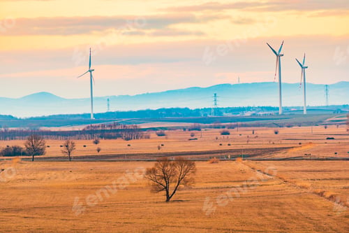 Preview: Wind turbines on the field in rural area.