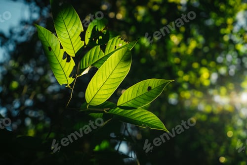 Preview: bright green trees and leaves in spring
