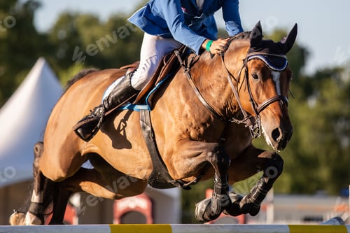 Preview: Horse Jumping, Equestrian Sports, Show Jumping event themed photograph