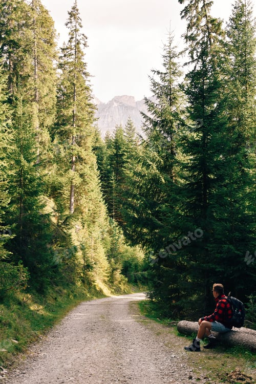 Preview: Hiker sitting on wooden trunk next to hiking trail and enjoying scenic mountain view