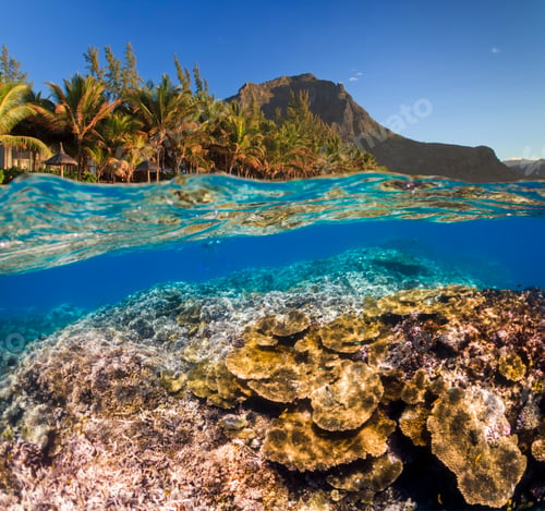 Preview: Underwater Scene With Reef And Tropical Fish