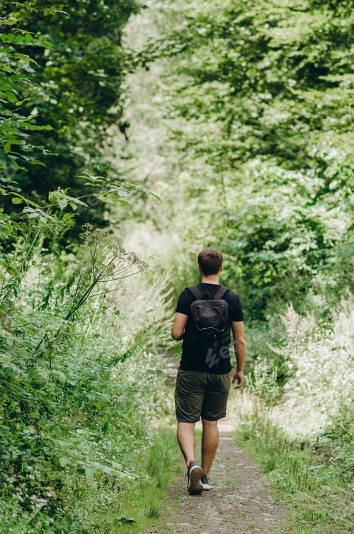 Preview: Young man walking in the Forest