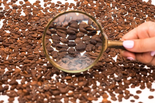 Preview: Female Hand Keepig Magnifying Glass Over The Coffee Beans