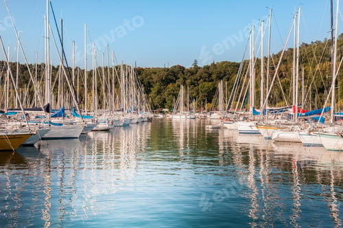 Preview: Pleasure boats moored in the harbor.