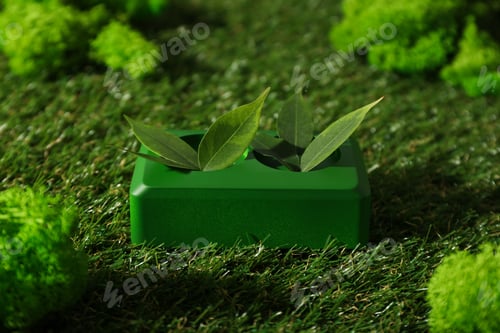 Preview: Eco house concept, green rosette with leaves