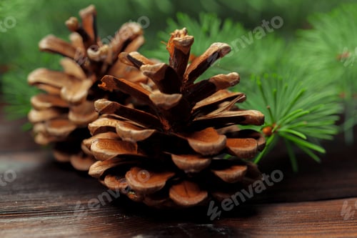Preview: Christmas composition with fir tree branches on wooden background.
