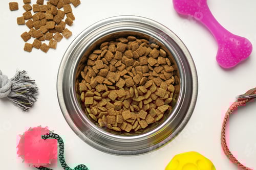 Preview: Tasty and delicious food for pet, pet accessories