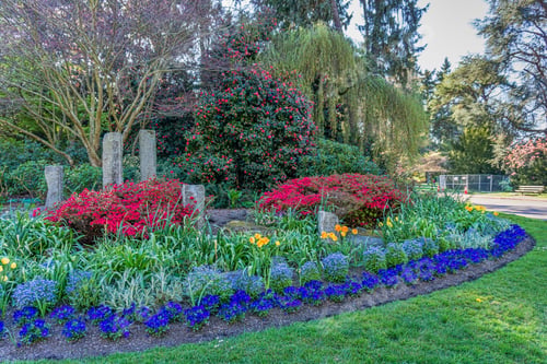 Preview: A Flower Garden At Seward Park In Seattle, Washington.