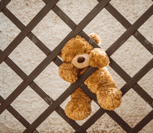 Preview: Brown teddy bear, tries to climb up an iron fence