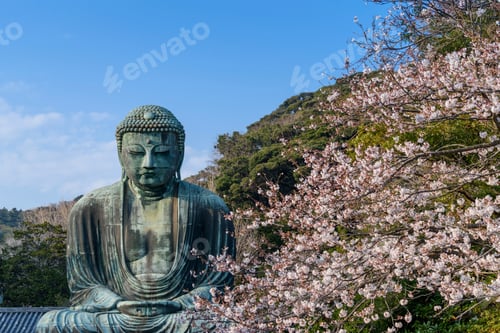 Preview: Buddha statue and Cherry blossoms, Kamakura, Japan.