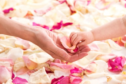 Preview: Female and baby hands with rose petals