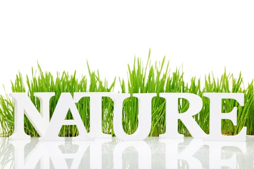 Preview: Word "Nature" with fresh grass isolated on white