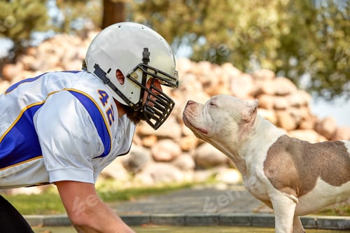 Preview: Face to face man and dog. An American football player in a helmet and uniform stands face to face