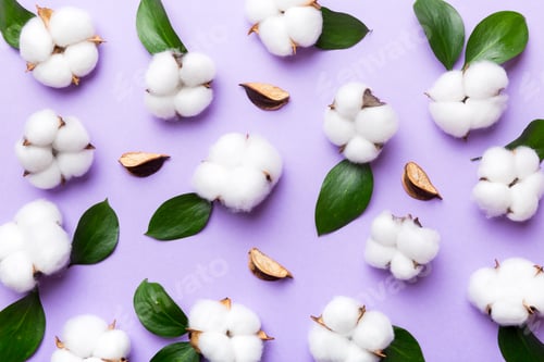 Preview: Autumn Floral Flat lay background composition. Dried white fluffy cotton flower branchwith