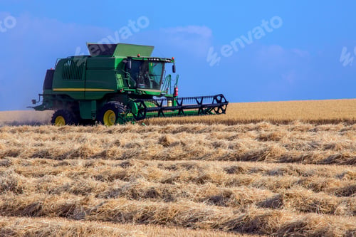 Preview: Harvest Time
