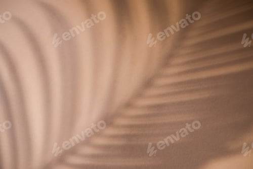 Preview: Shadow of palm leaf on natural earthy colors background. Creative drawing of light and shadow