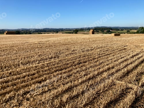 Preview: Rural landscape, golden stubble field after harvest, UK