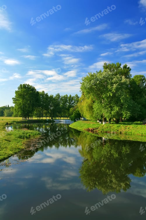 Preview: Reflection of the spring forest