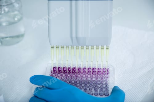 Preview: Laboratory electronic multichannel pipettes with microplate. Microbiology, research.