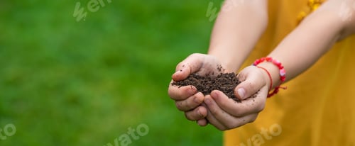 Preview: The child holds the soil in his hands. Selective focus.