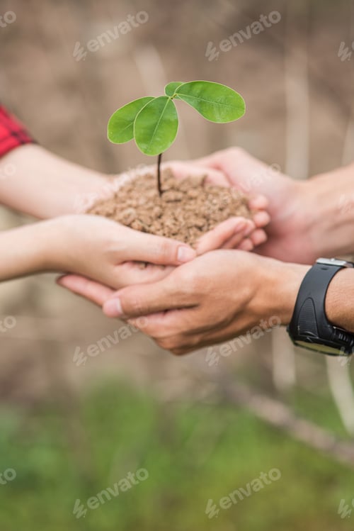 Preview: Men and women standing and holding saplings.