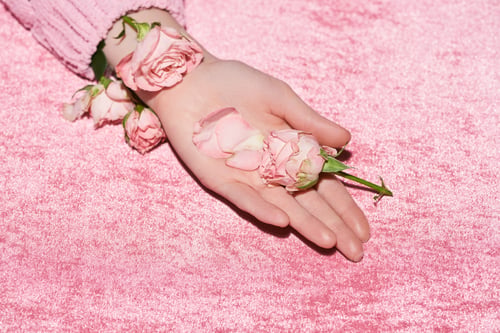 Preview: cropped view of woman holding roses on velour pink cloth, girlish concept