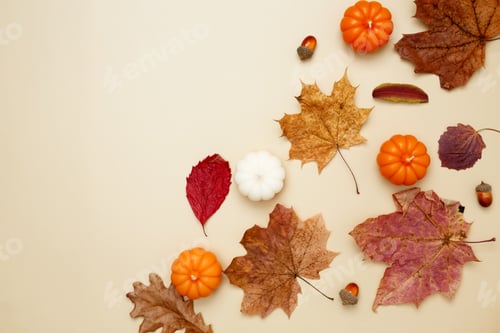 Preview: Autumn composition with maple leaves, decorative pumpkins and candles. Top view. Copy space
