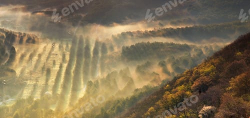 Preview: Misty valley