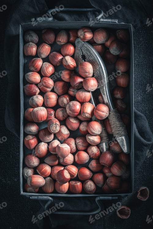 Preview: Fresh hazelnuts as a healthy and good snack