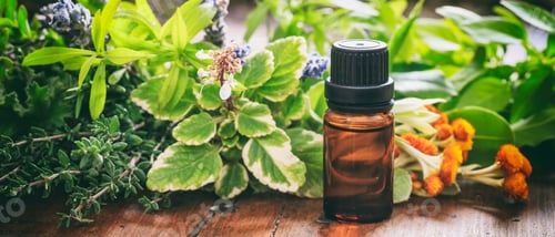 Preview: Variety of herbs and oil on wooden background