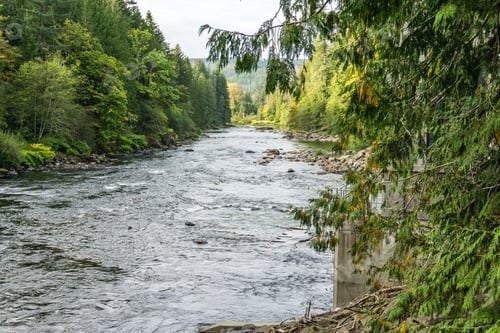 Preview: A View Of The Snoqualmie River In Washington State.