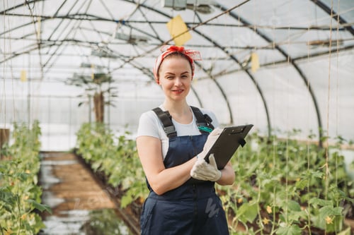 Preview: a young woman, an employee, takes care of plants in a greenhouse