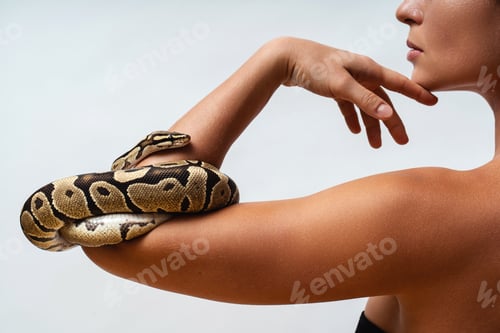 Preview: Woman with python snake elegantly slithering over her arm