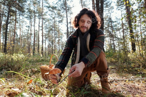 Preview: Young man in casualwear cutting fresh ripe boletus with knife