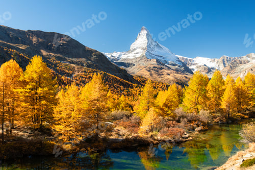 Preview: Matterhorn Mountain, Grindjisee Lake and Yellow Larches in Autumn. Switzerland