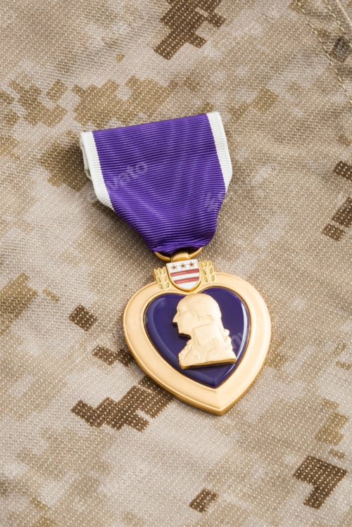 Preview: Purple Heart War Medal on Marine Camouflage Material