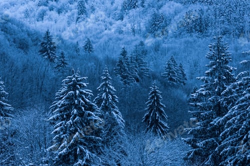 Preview: Winter landscapes of Carpathian Mountains near Brasov, Brasov County, Romania